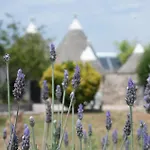 Trullo Alba *