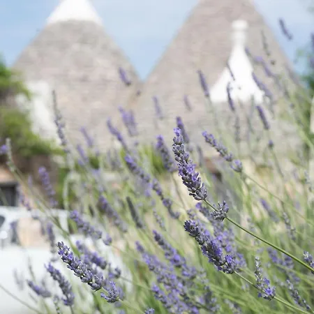 Villa Trullo Alba Cisternino