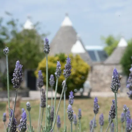 Trullo Alba *
